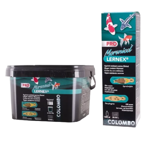 Lernex Pro Colombo