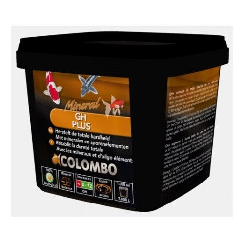 Gh Plus Colombo