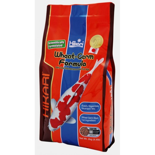 Hikari Wheat Germ