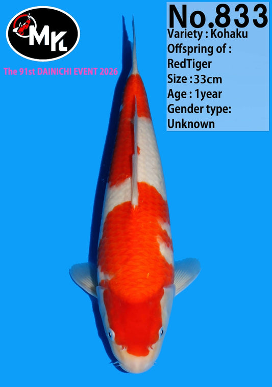 Dainichi: Kohaku T33-N833