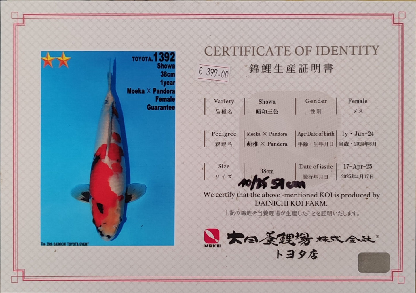 Dainichi : Showa (DAIN25001) (DAIN25002)