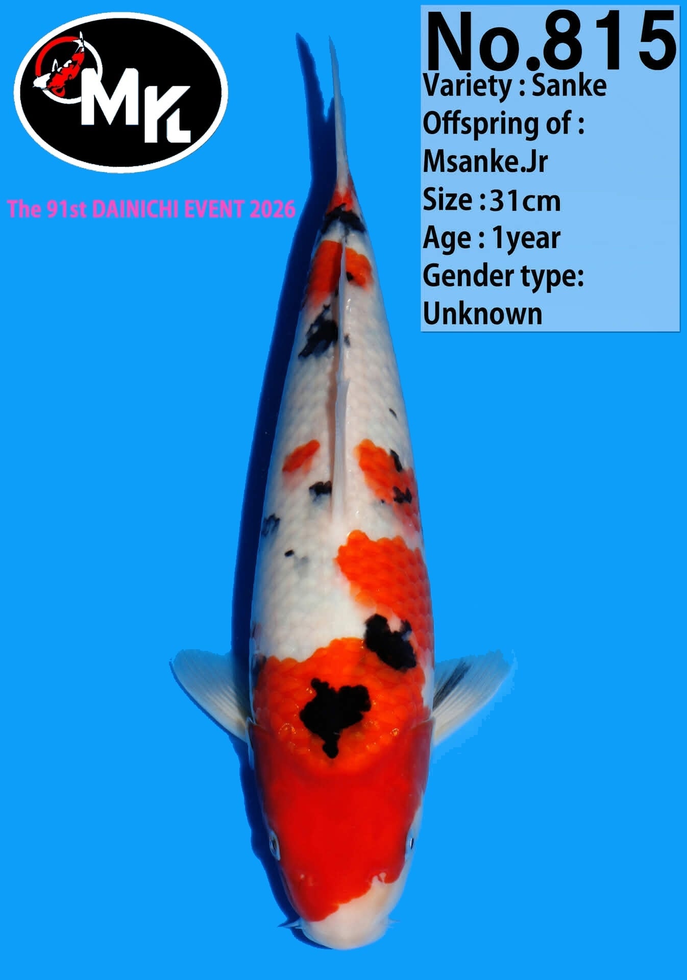Dainichi: Sanke T31-N815